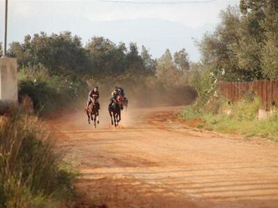 Ιππικοί αγώνες σήμερα στο Πλατύ Μεσσηνίας