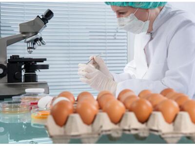 Σε επιφυλακή και η Ελλάδα μετά το σκάνδα...