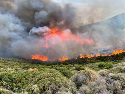 Φωτιές: 26 πυρκαγιές το τελευταίο 24ωρο ...