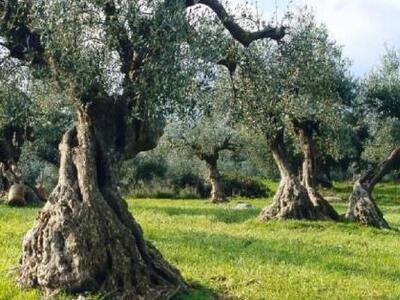 Σεμινάριο και εργαστήρι για το έργο Bio-...