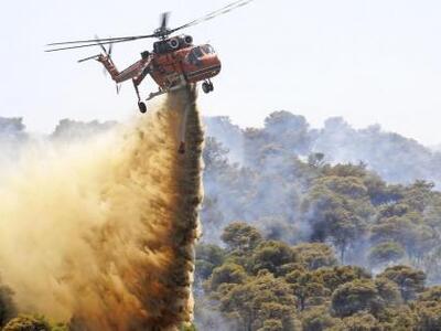 Ανοχύρωτα τα ελληνικά δάση: «Γυμνή» η Πυ...