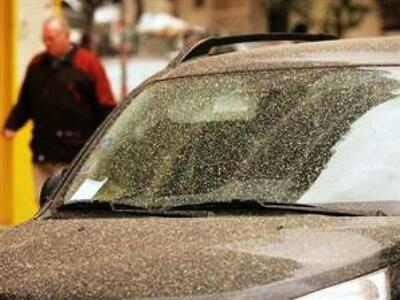 Ηλεία: Έβρεξε λάσπη - Πάνω από τους 25 β...