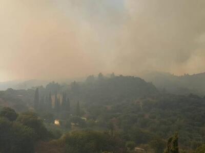 Περιστερι Ηλείας