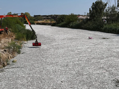 Βόλος: Θέμα στα διεθνή ΜΜΕ η υπόθεση με ...