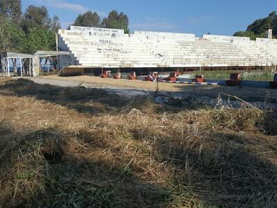 Πάτρα: Επιχείρηση αποψίλωσης και καθαρισ...