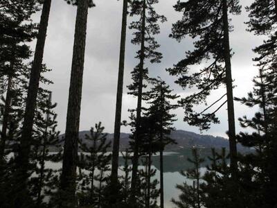 Μουσείο Δασικής Ιστορίας στην Ορεινή Αρκαδία