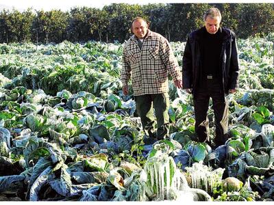 Σε πανικό οι αγρότες της Ηλείας - Έρχετα...