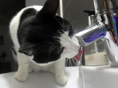 Θεσσαλονίκη: Αστυνομικοί "εκπαιδεύο...