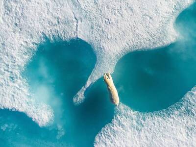 Ανταρκτική: Αποκολλήθηκε παγόβουνο 5 φορ...
