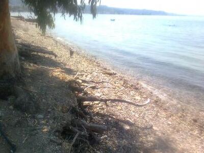 Πάτρα: Μαύρα χάλια στην παραλία Μονοδενδ...