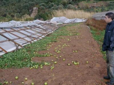 Δυτική Αχαΐα: Πετάνε τις τσάπες-Δραματικ...