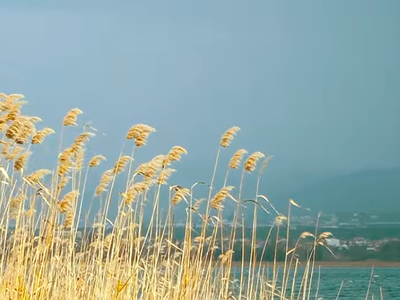 Χειμώνας στη λίμνη Τριχωνίδα
