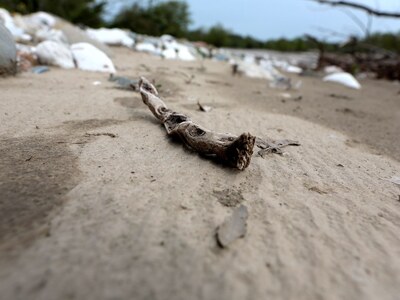 Η ξηρασία απειλεί τη Γηραιά Ήπειρο - Ήδη...
