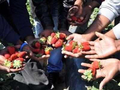 Ηλεία:Συγκέντρωση συμπαράστασης στους ερ...