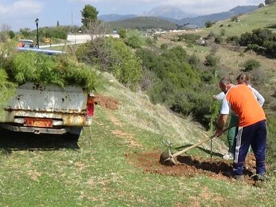 Αιτωλοακαρνανία: Δενδροφύτευση στο Μέγα ...