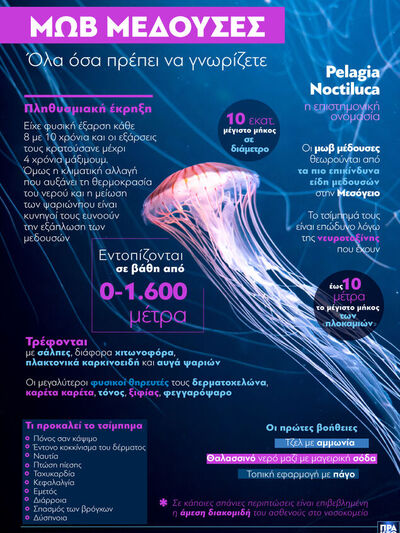 Μωβ μέδουσες: Όλα όσα πρέπει να γνωρίζετε