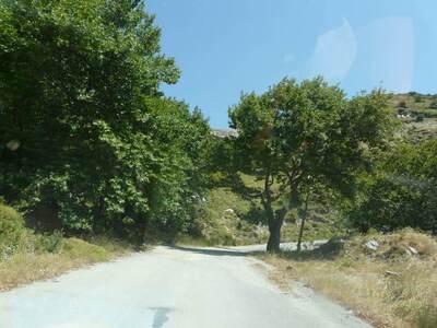 Ζάκυνθος: Βρήκε το παιδί του νεκρό