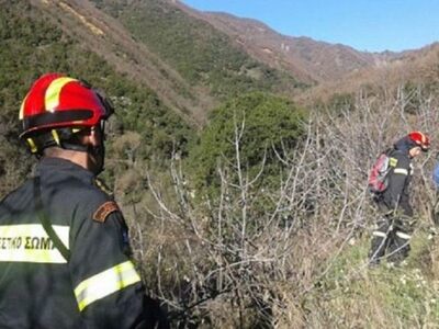 Αχαϊα: Κυνηγόσκυλο έπεσε σε χαράδρα 60 μ...