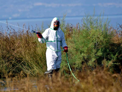 Ηλεία: Συναγερμός για το κρούσμα του ιού...