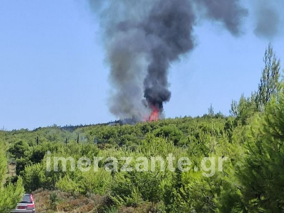 Μεγάλη φωτιά στη Ζάκυνθο- Σε αγροτοδασικ...