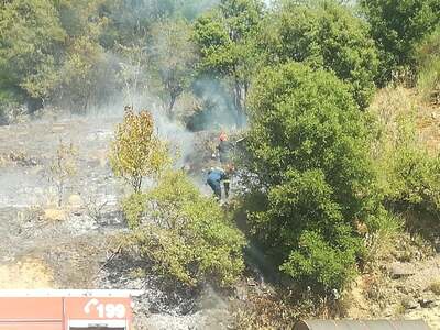 φωτό από agriniosite.gr