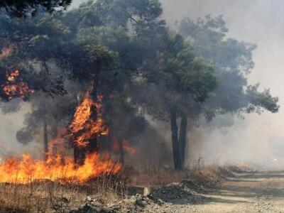 Φωτιά από κεραυνό στο Άγιο Όρος