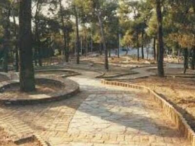 Πάτρα: Καθημερινός ο καθαρισμός απο τα ξ...