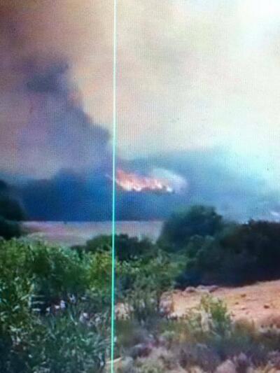 φωτιά Σανταμέρι Αχαΐας