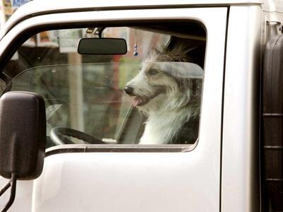 Οδηγείτε με το παράθυρο ανοιχτό και άλλε...