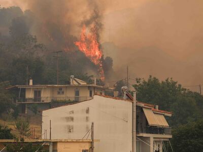 Σαρηγιάννης για φωτιά στην Πάτρα: Τρεις ...