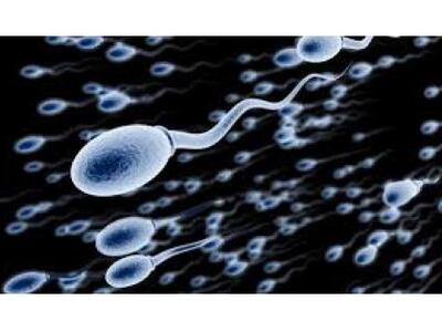 Αυτόματος συλλέκτης σπέρματος...χωρίς να...