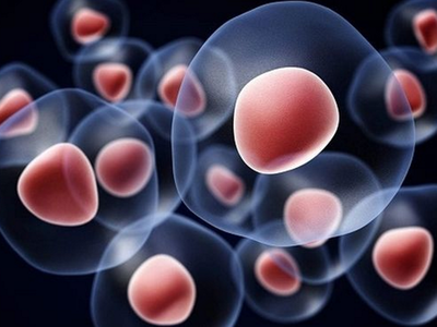 Νευρικά βλαστοκύτταρα: Από τη βασική κατ...