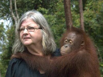 Η γυναίκα που ζει με τους ουρακοτάγκους!