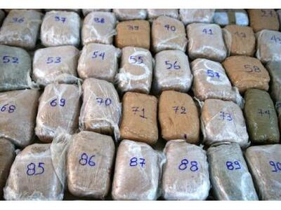 Συνεργάτη με φυτεία χασίς στην Αιτωλοακα...