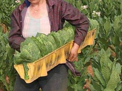 Συνελήφθη 40χρονος στο Αίγιο, για κατοχή...