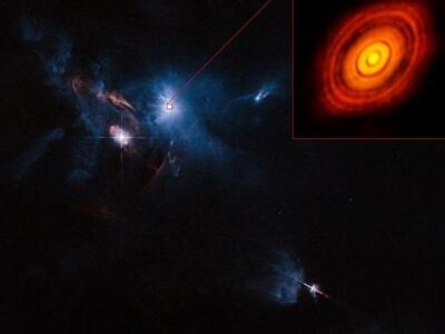 Για πρώτη φορά φωτογραφήθηκε η γέννηση ε...