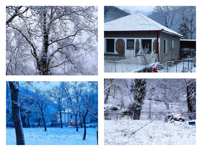 Αχαΐα: Μαγικές εικόνες από τη χιονισμένη Ζαρούχλα 