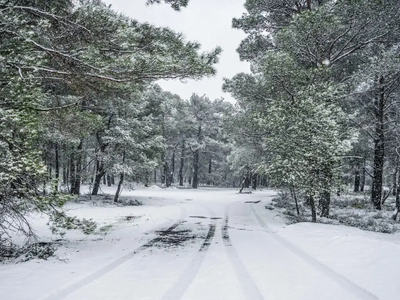 Καιρός Πρωτοχρονιάς: Ψυχρή εισβολή εξπρέ...