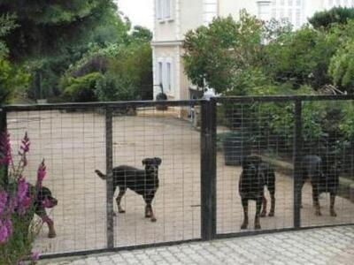 Ο πατέρας και ο παππούς του 5χρονου που ...