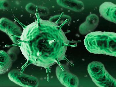 Πολλά υποσχόμενη πρωτεΐνη που ενισχύει τ...