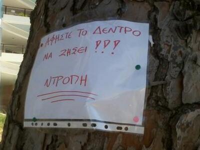 Πάτρα: «Φουντώνουν» οι αντιδράσεις για τ...