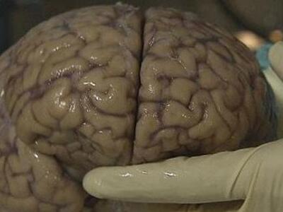 Τι συμβαίνει τη στιγμή του θανάτου μας;