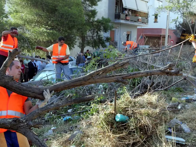 Καθαρισμός οικοπέδων: Πάνω από 200.000 οι δηλώσεις