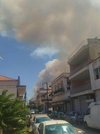 πηγη: εποχικοι πυροσβεστες