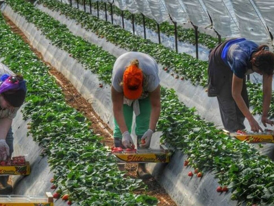 Δυτική Ελλάδα: Δίκη για εκμετάλλευση εργ...