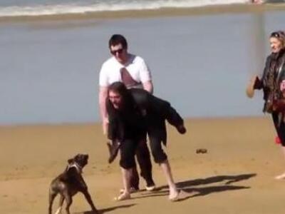 Άγριος σκύλος σπέρνει τον πανικό σε παρα...