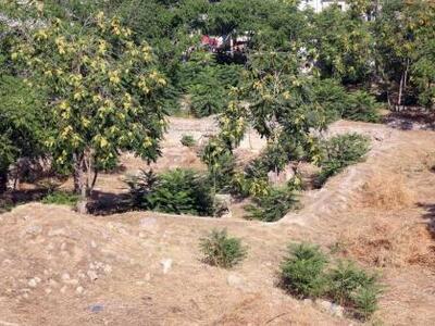 Πάτρα: Ο Δήμος καλεί τους ιδιοκτήτες οικ...