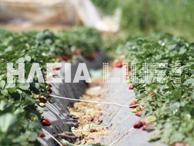 ΠΑΜΕ: Τα βασανιστήρια των 150 εργατών στ...