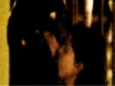 Τα καυτά φιλιά της Κατερίνας Παπουτσάκη ...