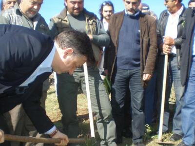 Ηλεία: Φυτεύτηκαν 3.000 δενδρύλλια στο  ...